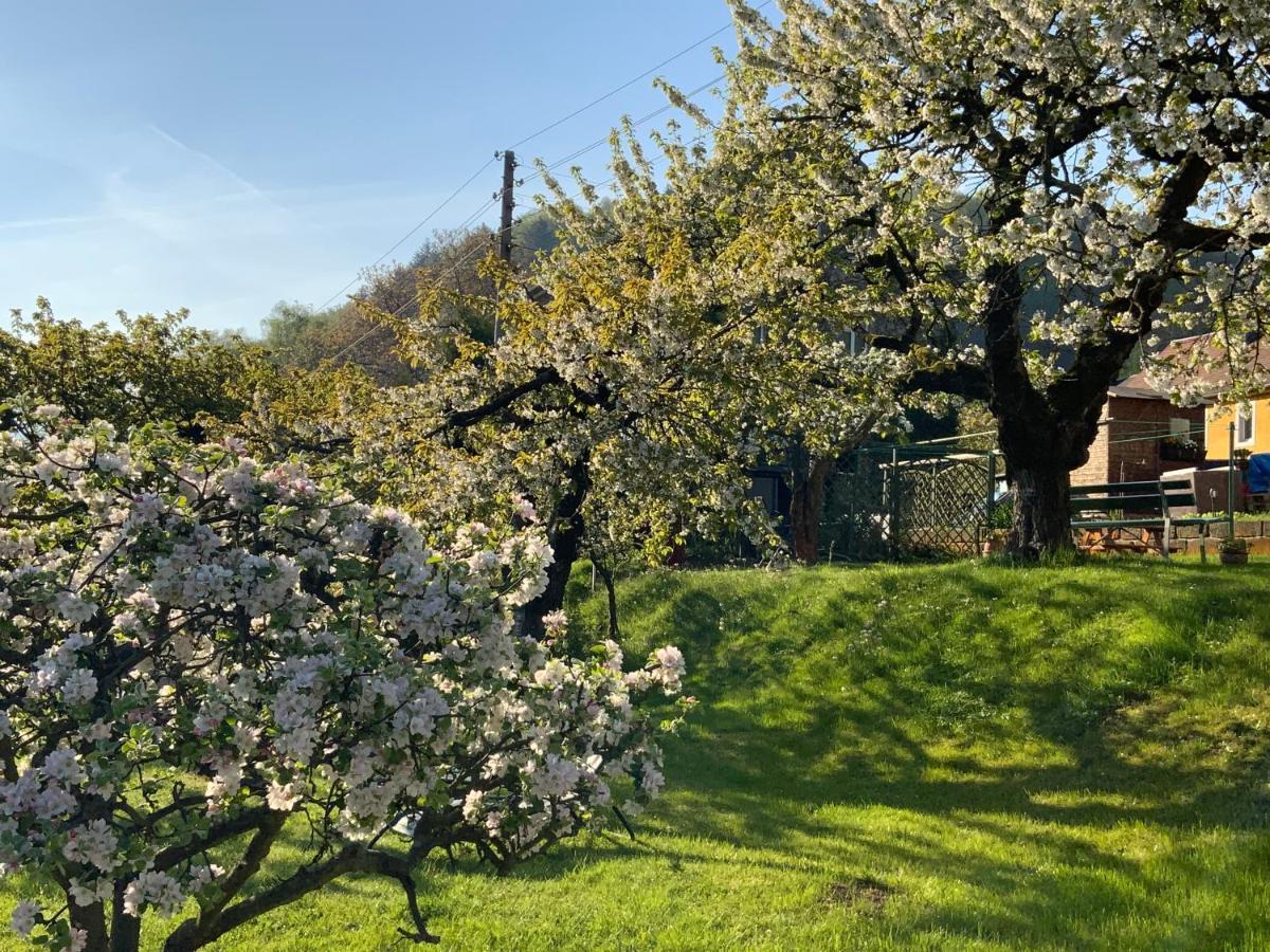 Pension Hoenel-Hof Bad Schandau Luaran gambar