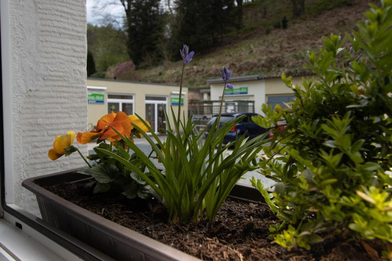 Pension Hoenel-Hof Bad Schandau Luaran gambar