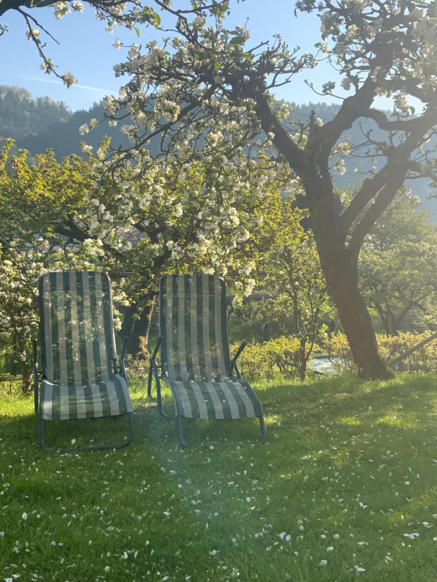 Pension Hoenel-Hof Bad Schandau Luaran gambar